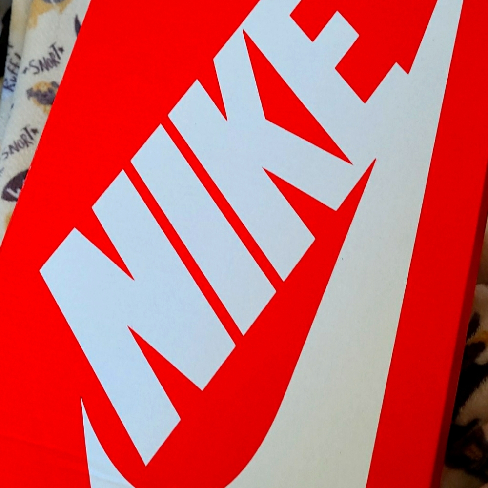 Nike Court vision Lo
